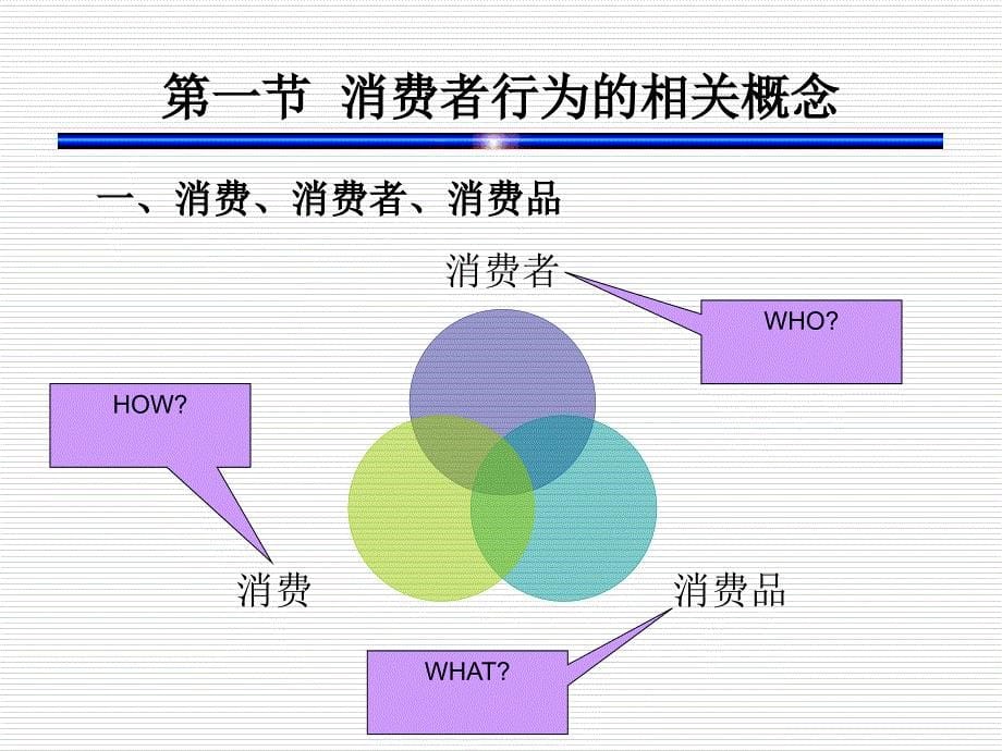 消费者行为心理学第一章_第5页