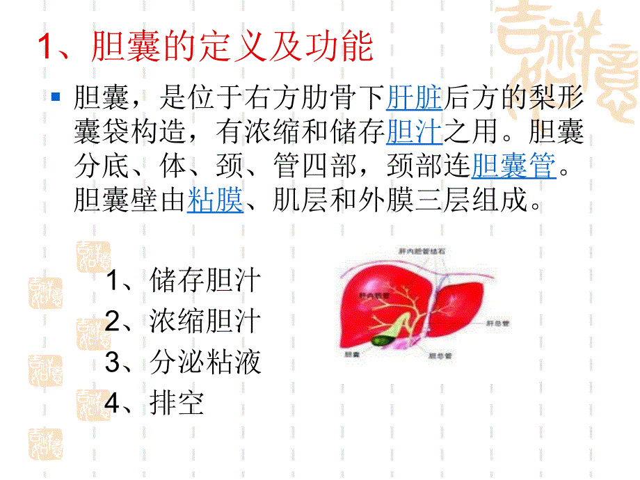 胆囊的解剖位置.ppt_第3页