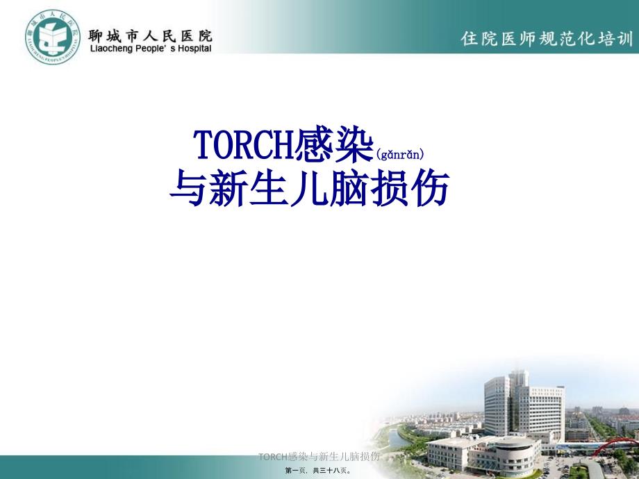 TORCH感染与新生儿脑损伤课件_第1页