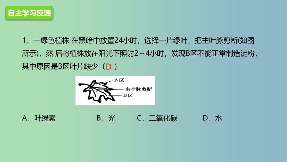 七年级生物上册2.1.3绿色植物的光合作用课件2新版济南版.ppt_第4页