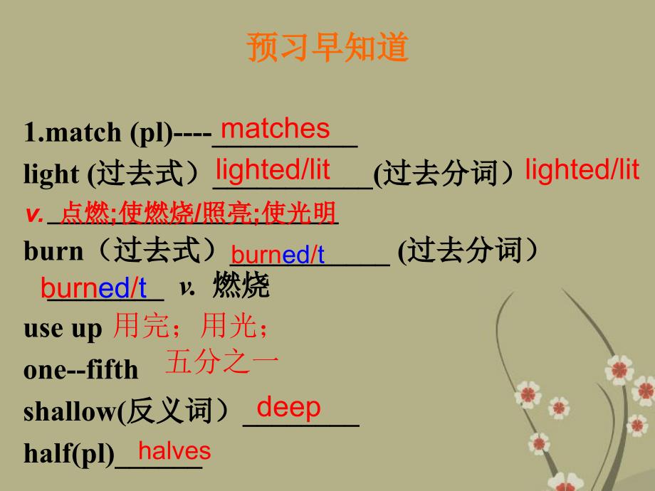 甘肃省景泰县五佛中学八年级英语Unit4lesson30KeeptheCandleBurning课件冀教版_第3页