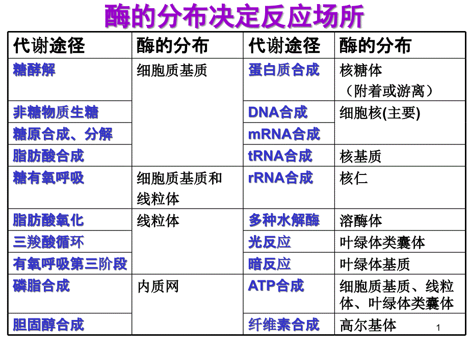 酶分布决定反应场所课件_第1页