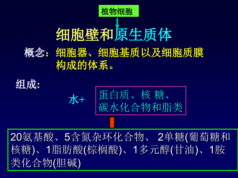 12第一章植物细胞11_第2页