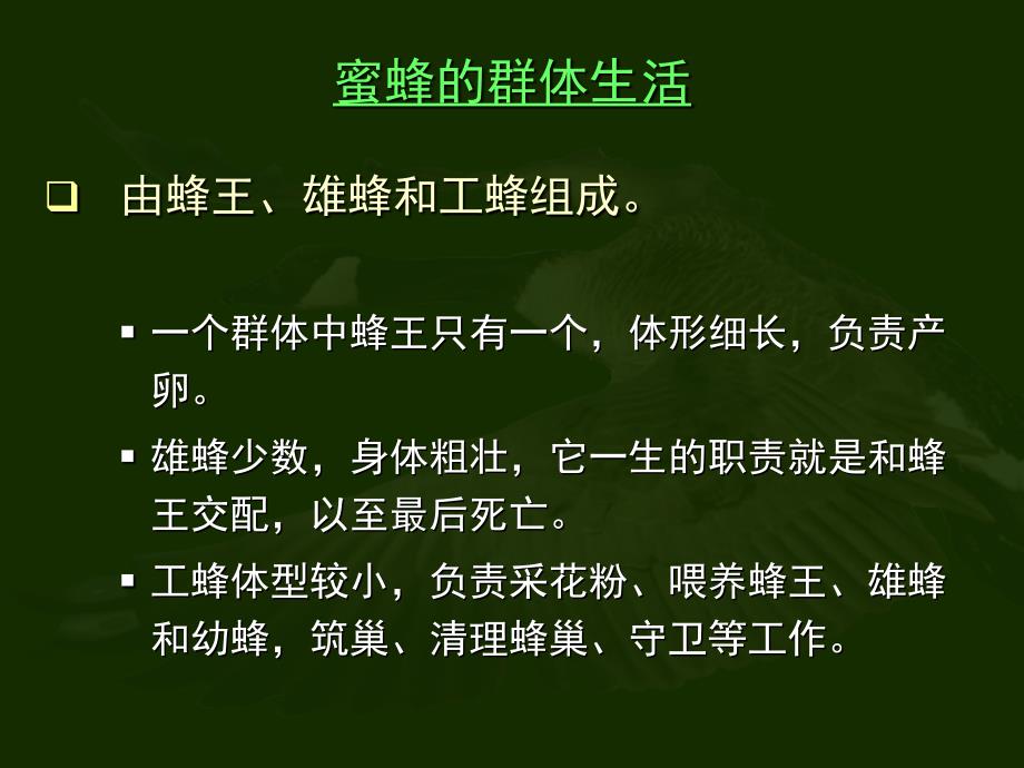 动物的社会行为_第2页