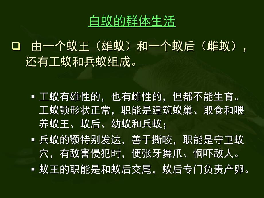 动物的社会行为_第3页