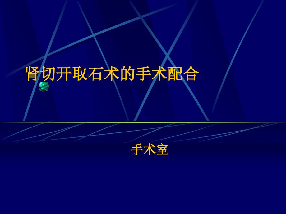 肾切开取石术_第1页