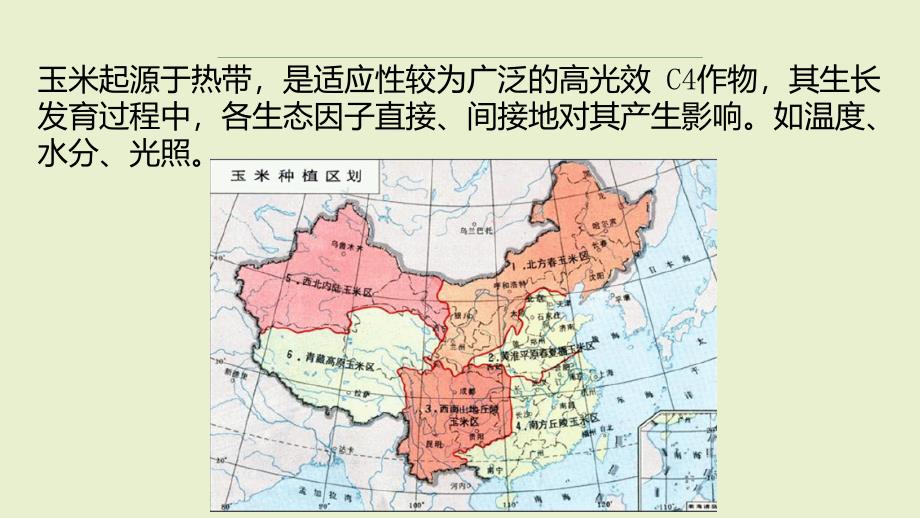 农业植物病理学：玉米大斑病_第4页