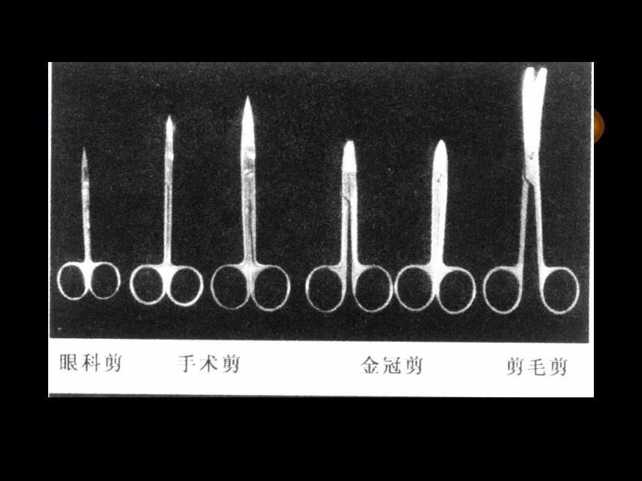 人体解剖生学实验——人体解剖技术_第3页