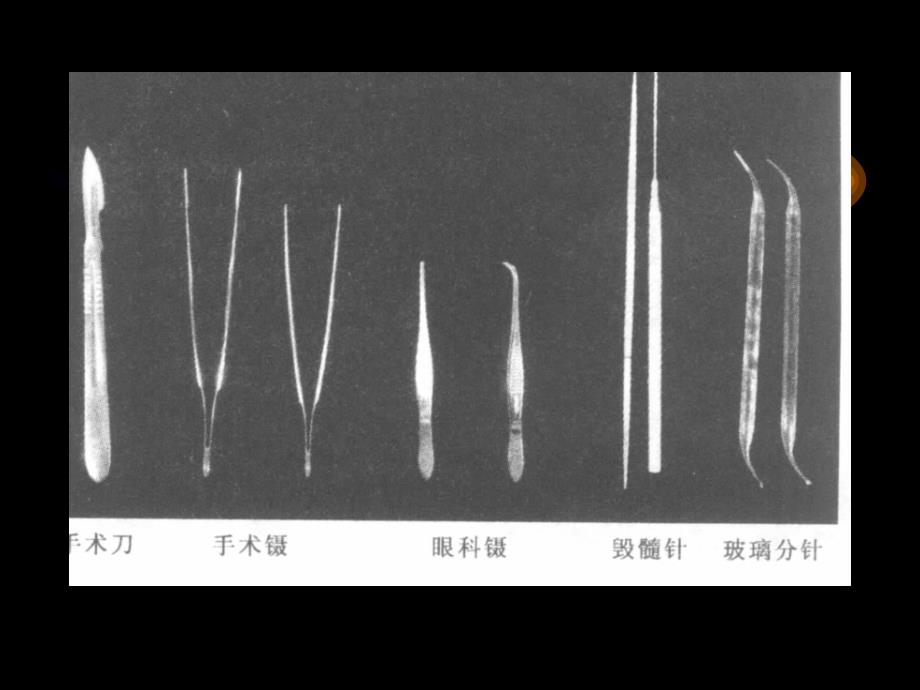 人体解剖生学实验——人体解剖技术_第4页