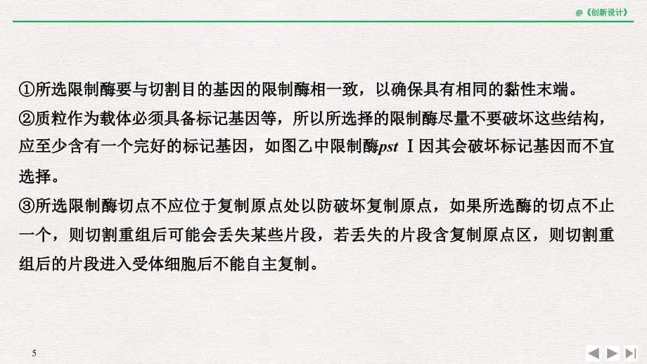 考点加强课6限制酶的选择与目的基因的检测与鉴定_第5页