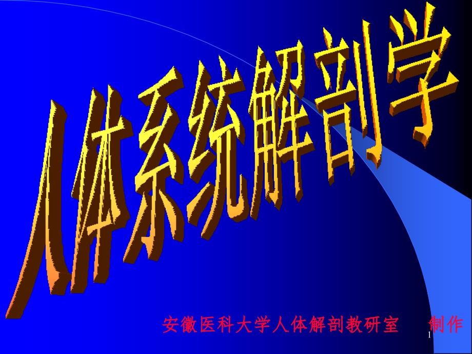 针灸针刀等解剖学基础PPT演示课件_第1页