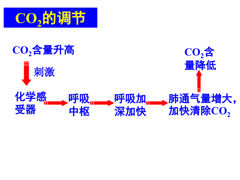 第3节神经调节与体液调节的关系_第2页