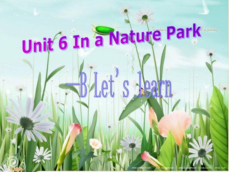 人教版[pep]五上Unit 6 in a nature park(PartB)ppt课件_第1页