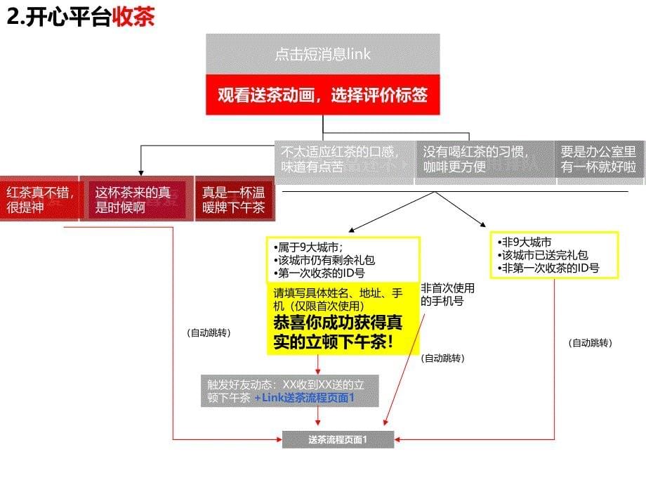 立顿送茶线上开心网执行方案_第5页