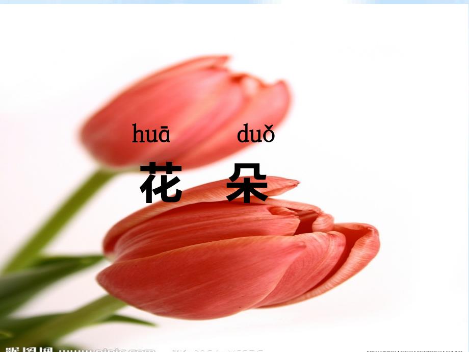 《花朵》课件(语文S版一年级语文上册课件)_第1页