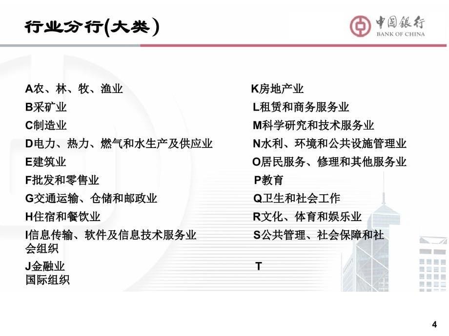 IT对公业务剖析_第5页