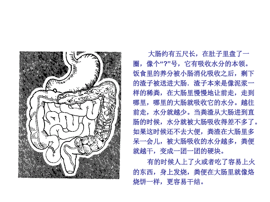 消化系统肝胆胰脾部分课件_第3页