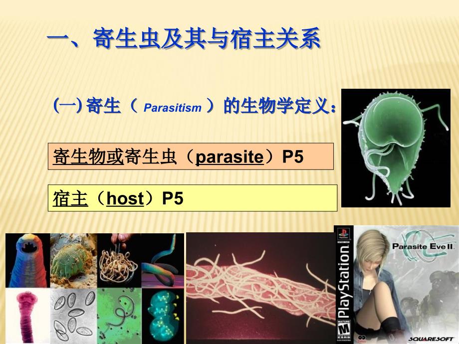 人体寄生虫学：总论与总结_第3页