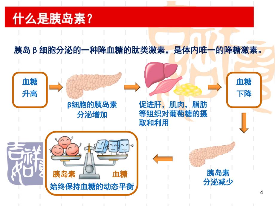 胰岛素的规范注射和血糖监测ppt课件_第4页