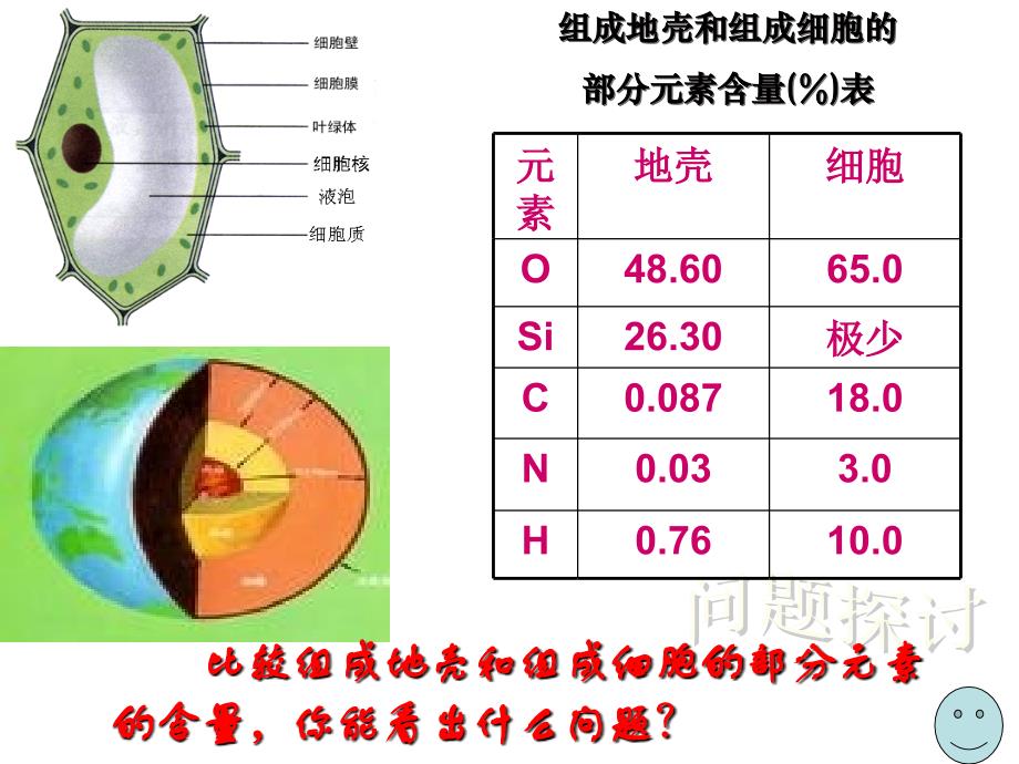 细胞中的元素和化合物 (3)_第2页