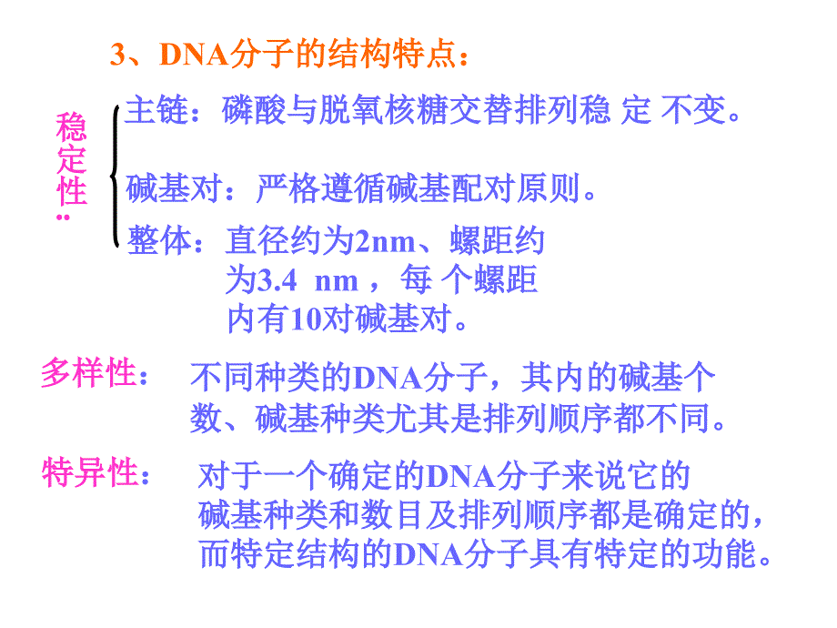 二DNA的结构和复制_第4页