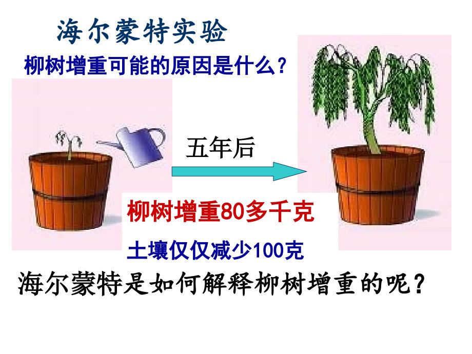 植物利用二氧化碳释放氧气_第4页