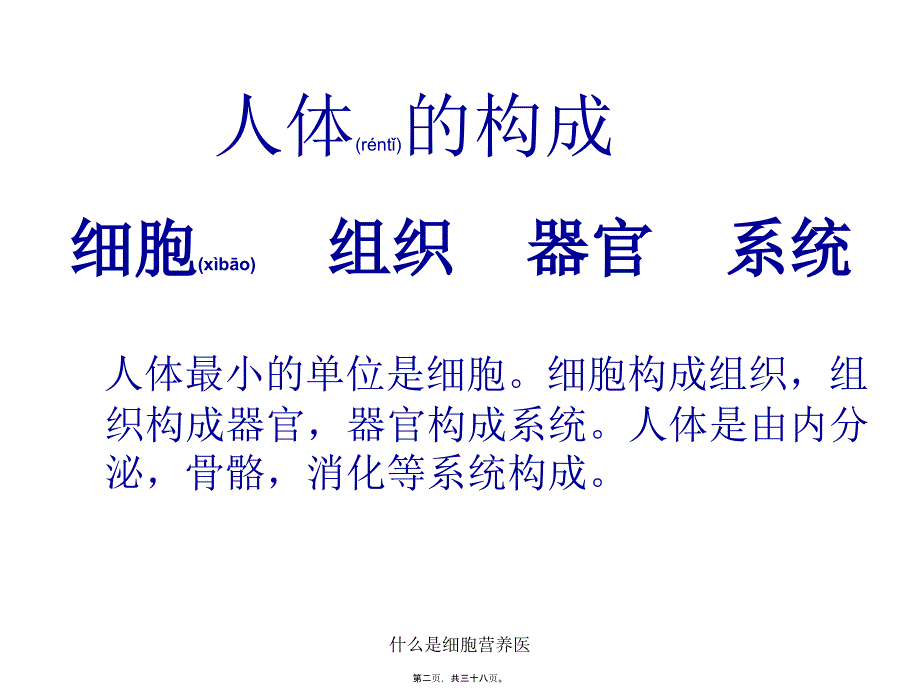 什么是细胞营养医课件_第2页