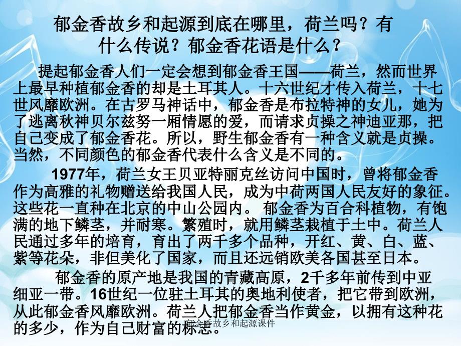 郁金香故乡和起源课件_第2页