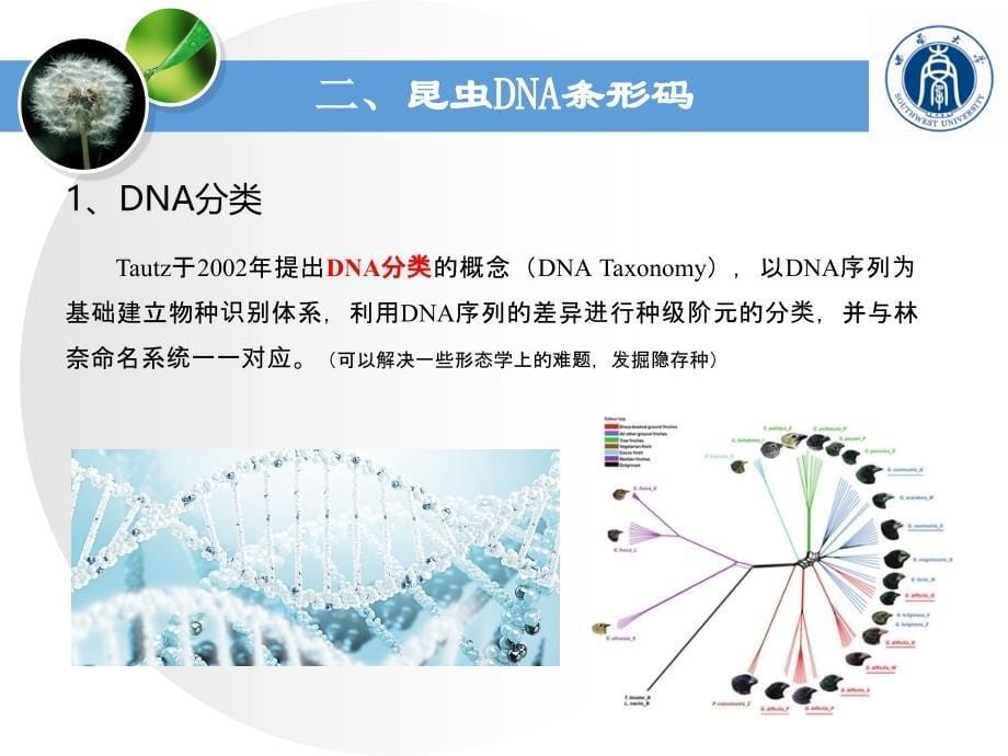 昆虫分子鉴定技术简介_第5页