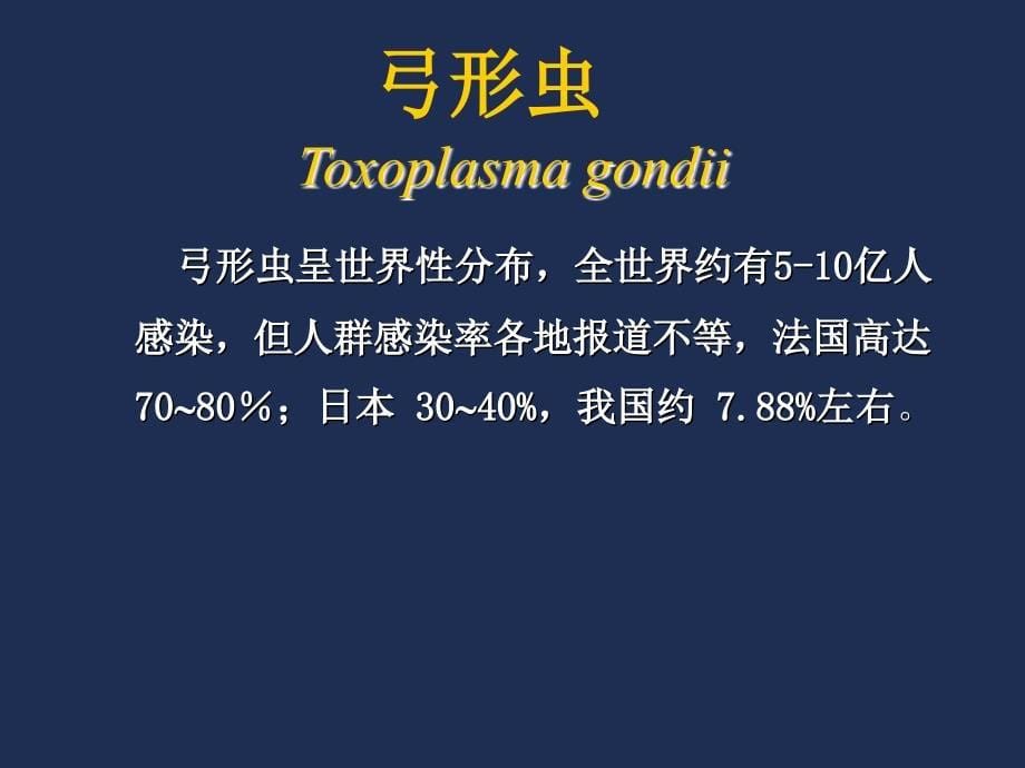 机会性致病原虫与临床.ppt_第5页