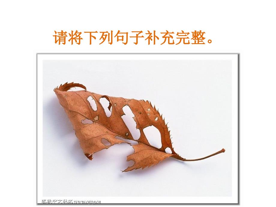 小学一年级语文学会将句子补充完整_第1页