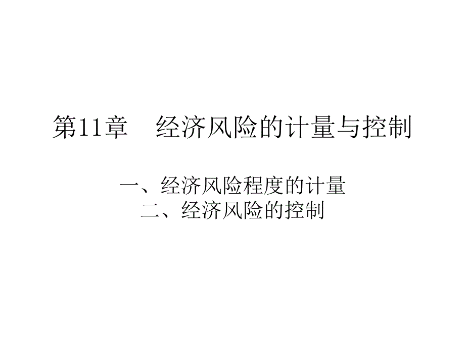 第11章经济风险的计量与控制_第1页