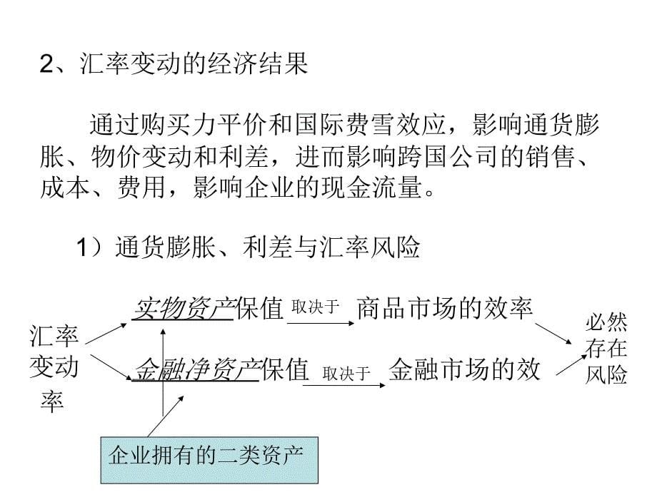 第11章经济风险的计量与控制_第5页