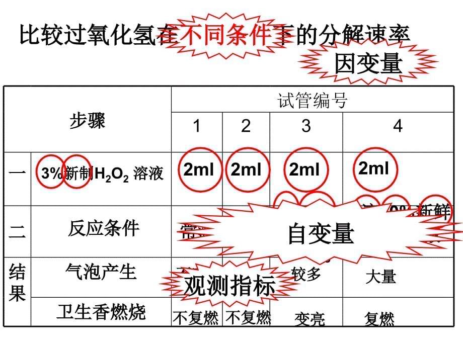 第一节降低化学反应活化能的酶_第5页