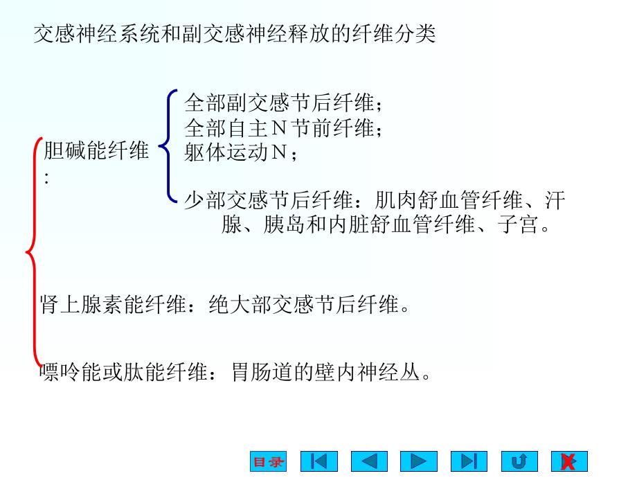 业务3.5神经系统对内脏课件_第3页