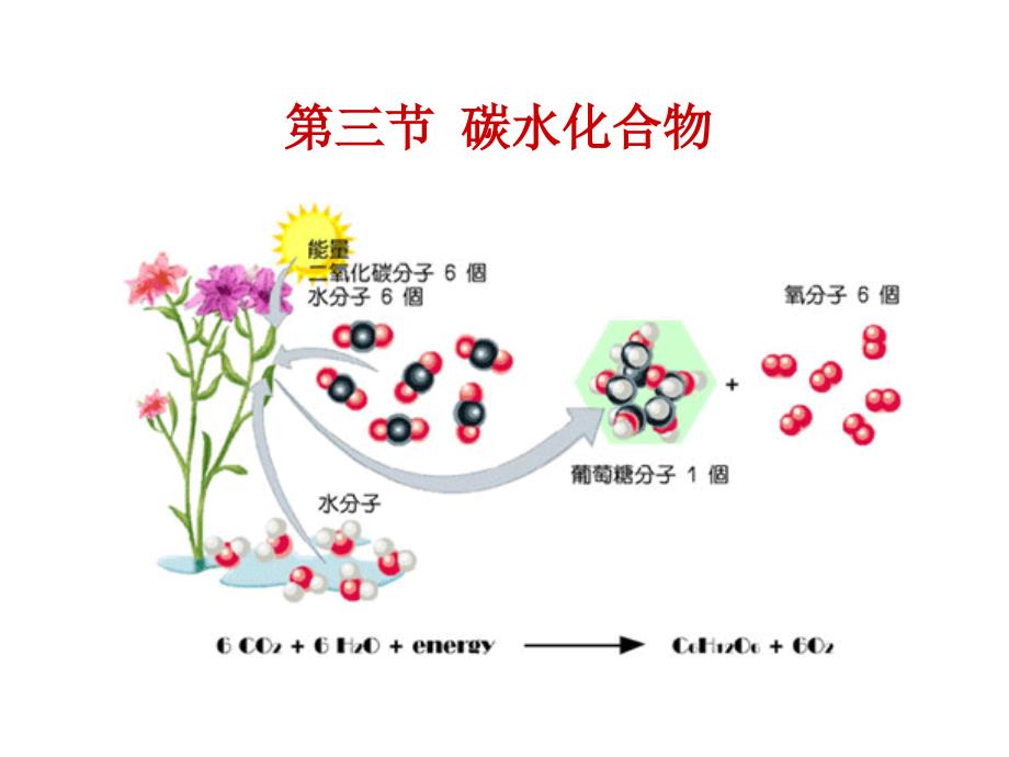 3.碳水化合物_第3页