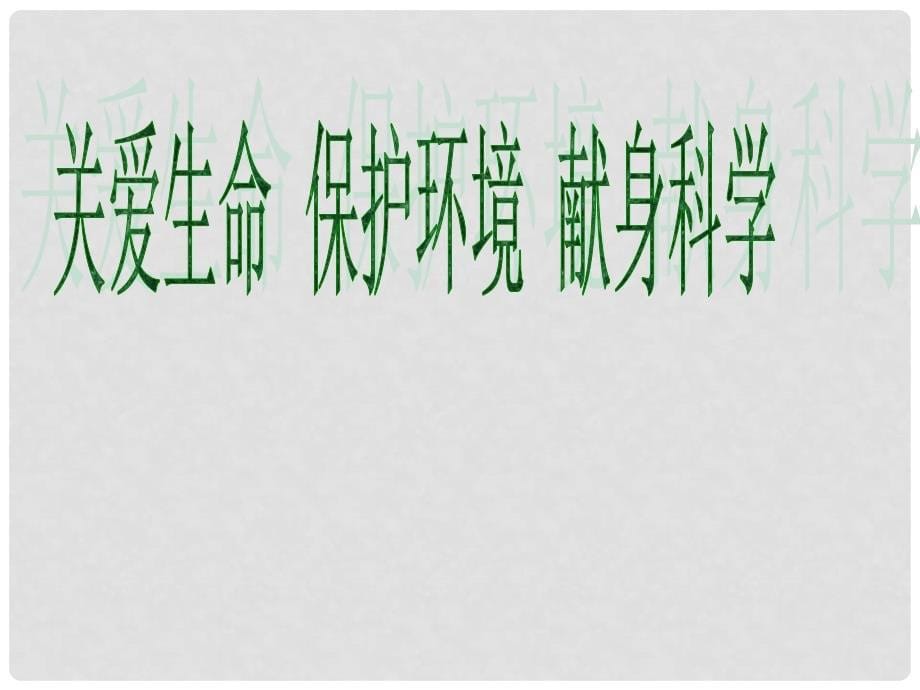 高中语文 凤蝶外传课件2 新人教版必修4_第5页