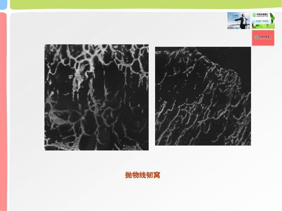 材料失效分析(第二至四章-解理断裂与沿晶断裂)_第5页