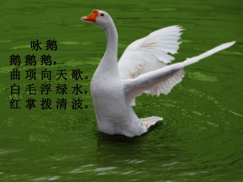 诗情画意课件_第1页