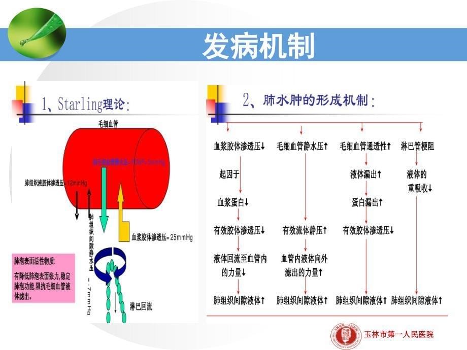 急性肺水肿护理查房_第5页