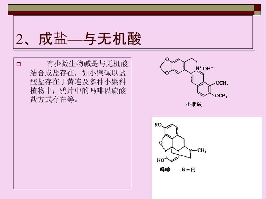 第四五节生物碱在植物体内的存在ppt课件_第5页