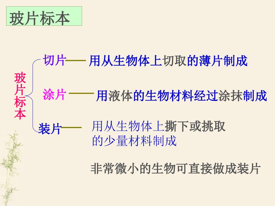 第二节植物细胞-课件_第3页