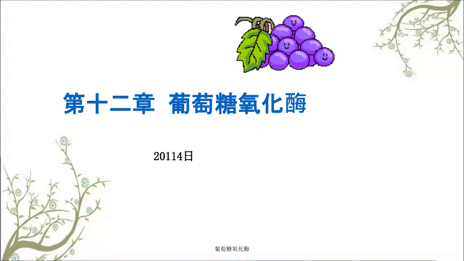 葡萄糖氧化酶课件_第1页