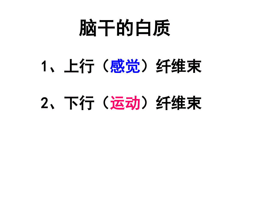 《系统解剖学》教学课件：脑干白质_第4页