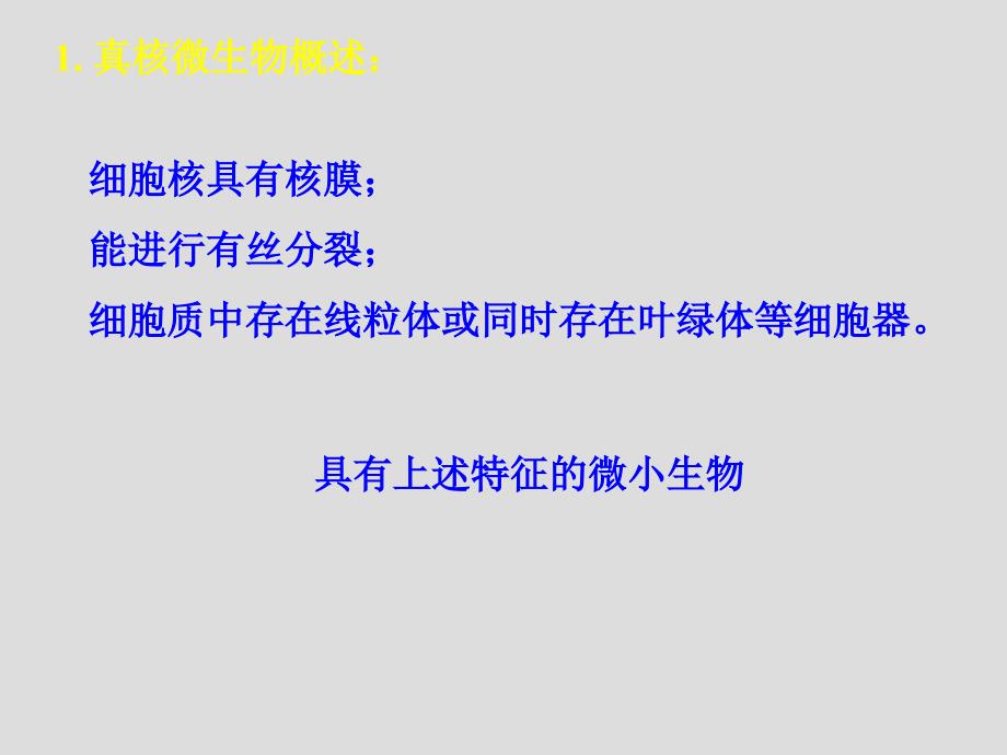 真核微生物形态、构造与功能1刘_第3页