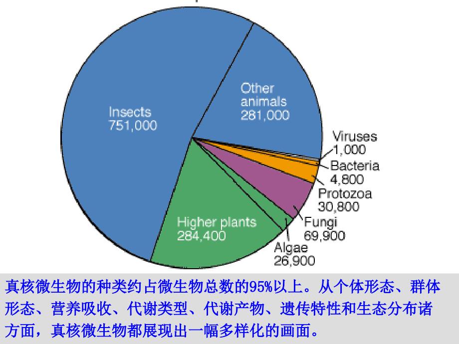 真核微生物形态、构造与功能1刘_第4页