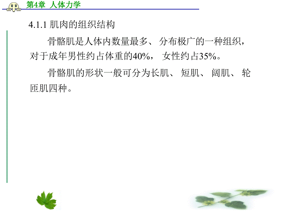 第4章_人体力学_第3页