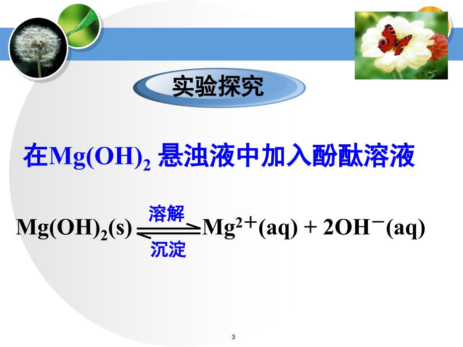 沉淀溶解平衡PPT精选文档_第3页