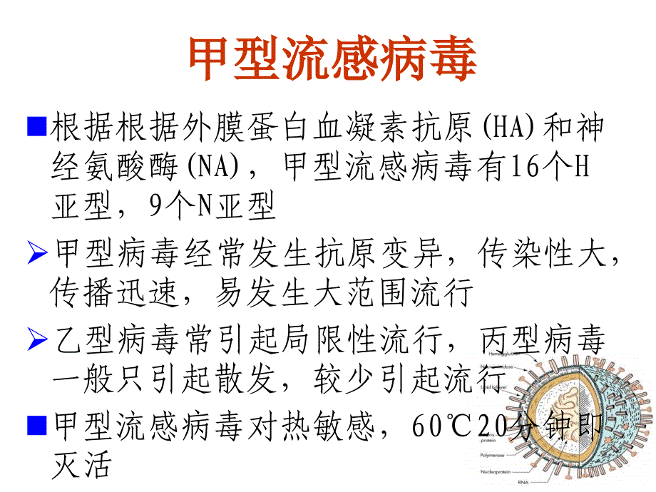 主题班会：安全教育篇甲型H1N1流感防控_第3页