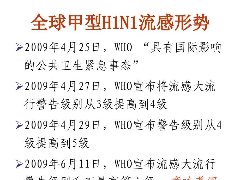 主题班会：安全教育篇甲型H1N1流感防控_第5页